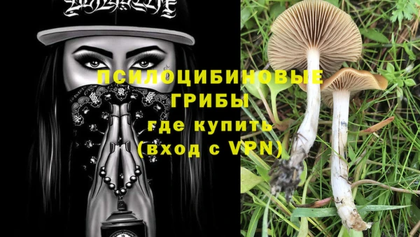 а пвп мука Белокуриха