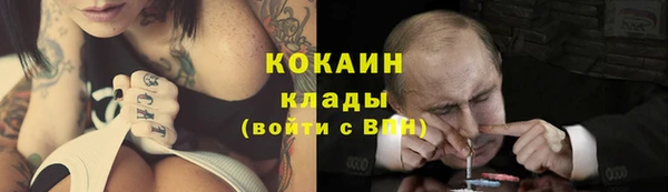 прущие крисы Беломорск
