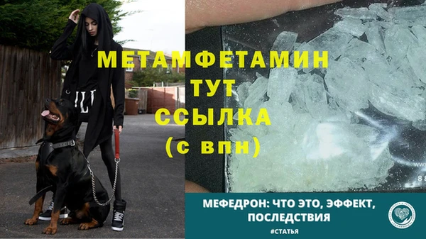 прущие крисы Беломорск