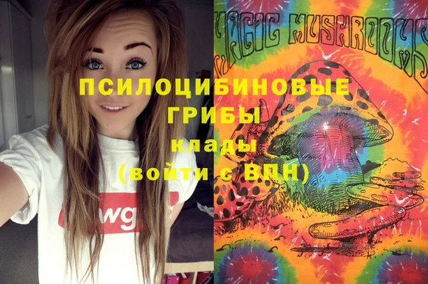 прущие крисы Беломорск