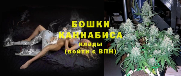 прущие крисы Беломорск