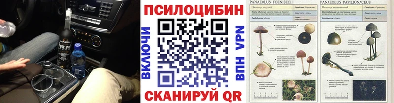 ОМГ ОМГ сайт  Вытегра  Галлюциногенные грибы Psilocybine cubensis  где продают наркотики 