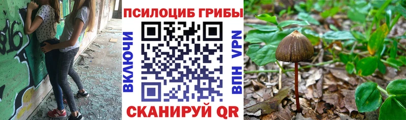 Галлюциногенные грибы MAGIC MUSHROOMS Вытегра